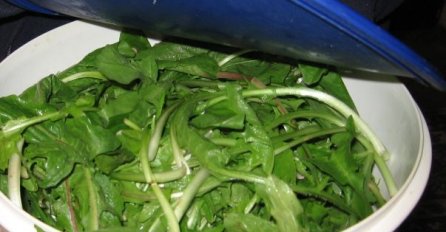 KORISTAN TRIK zbog kojeg će salata duže vremena biti svježa u frižideru