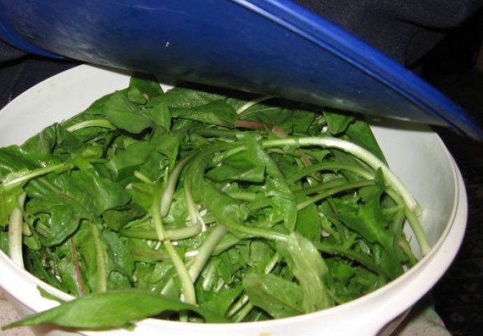 KORISTAN TRIK zbog kojeg će salata duže vremena biti svježa u frižideru