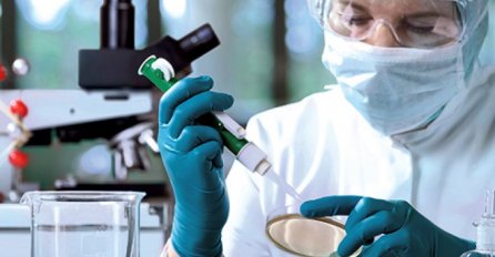 U Bosanskoj Dubici potvrđena tri slučaja mišije groznice