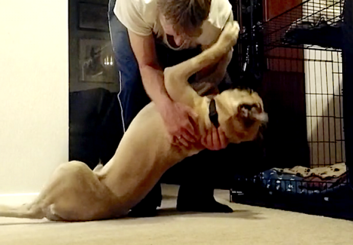 Ova rutina pred spavanje između psa i vlasnika će vas nasmijati do suza (VIDEO)