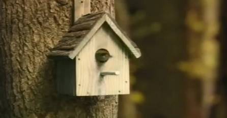 Ako ste mislili da je ovo obična kućica za ptice, grdno ste se prevarili (VIDEO)