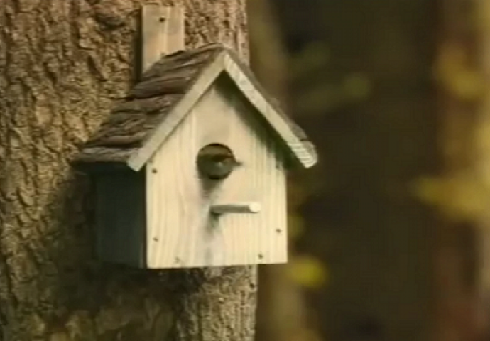 Ako ste mislili da je ovo obična kućica za ptice, grdno ste se prevarili (VIDEO)