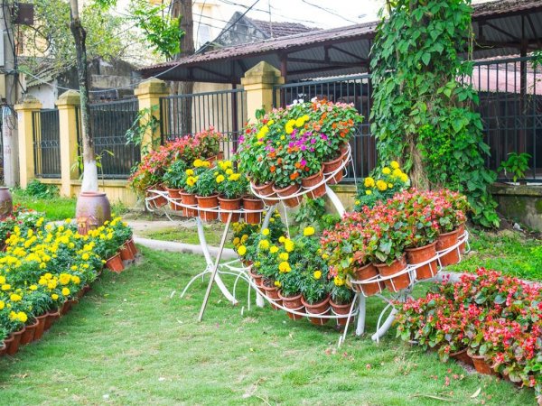 yellow-and-red-flowers-for-unique-flower-garden-ideas-with-brown-pots-and-grass-area