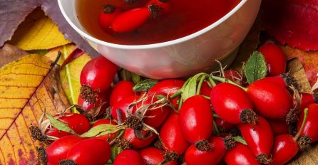 ŠIPURAK je  prirodni multivitam, spriječava viruse...