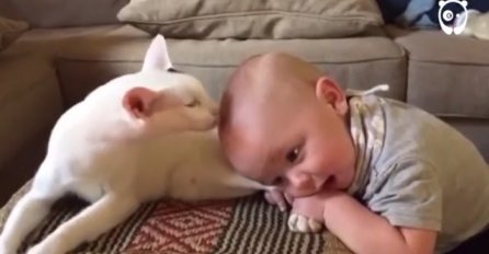 Udomili su mačku ali nisu imali ideju kako će njihova beba reagovati na to, dok nisu vidjeli ovo (VIDEO)