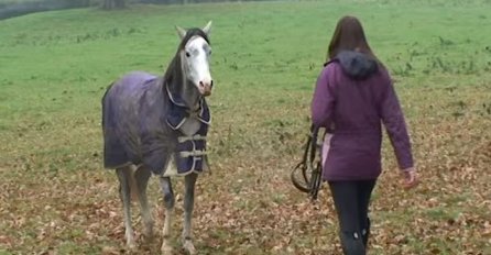 Žena je bila odsutna od kuće 3 sedmice, a reakcija konja po njenom povratku će vam rastopiti srce (VIDEO)