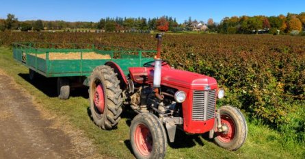 DEJANU JE TRAKTOR SAMLJEO GLAVU, KOSU I UŠI: Sagnuo se da popravi kvar, a onda je nastala borba za život!