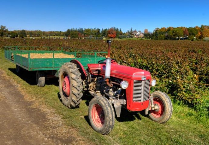 DEJANU JE TRAKTOR SAMLJEO GLAVU, KOSU I UŠI: Sagnuo se da popravi kvar, a onda je nastala borba za život!