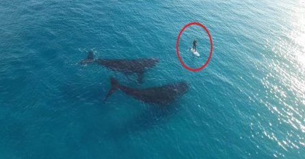 Surferu u susret plivala dva kita, a onda se desilo nešto čudesno! (VIDEO)
