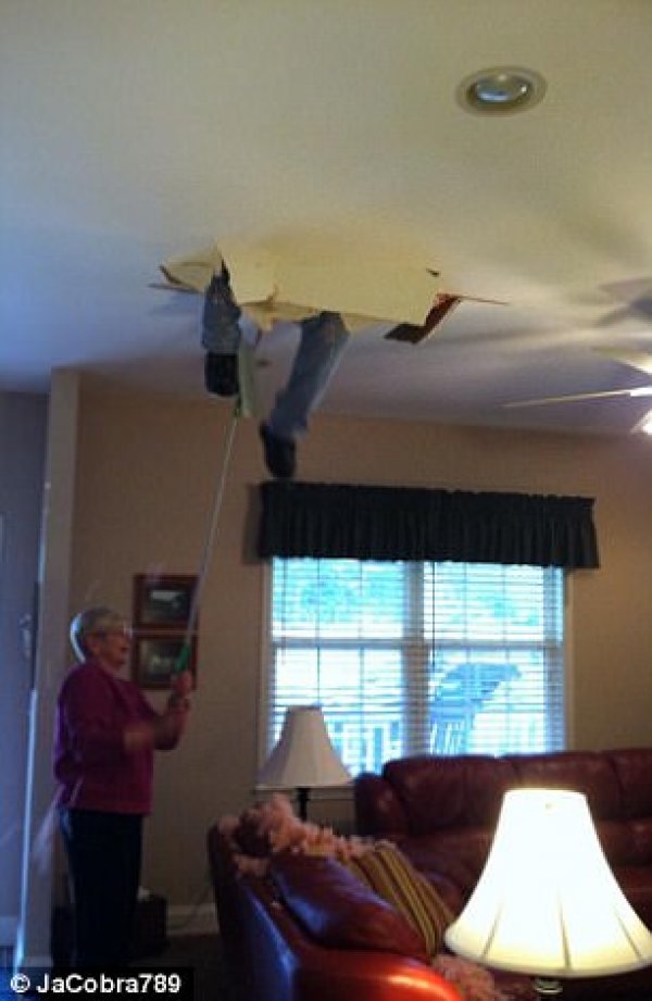 3ef7c52300000578-4382688-image-a-35-1491492084558