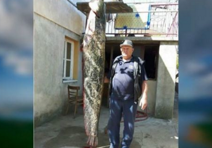 Ulovio soma od 85 kg: Držao sam se starog ribarskog pravila