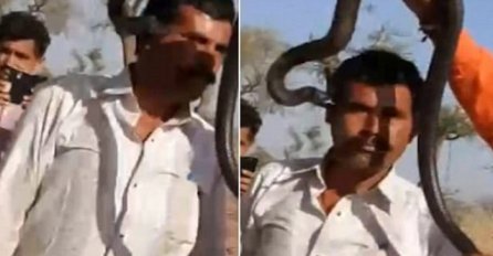 Turistu ujela kobra, umro je za manje od sat vremena (VIDEO)