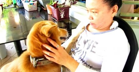Njegova vlasnica je bila tužna, a onda je pas pokazao koliko je voljena (VIDEO)