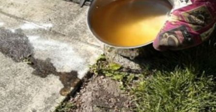 Kako se ovog nismo prije sjetili: On uvijek istresa lonac ključale vode po svom dvorištu, pogledajte zašto! (VIDEO)