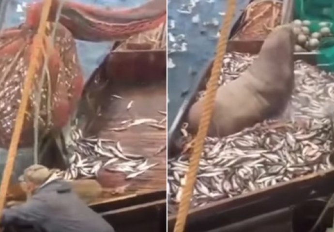  Ruski ribari lovili na otvorenom moru, a onda su uhvatili ovo ogromno stvorenje (VIDEO)