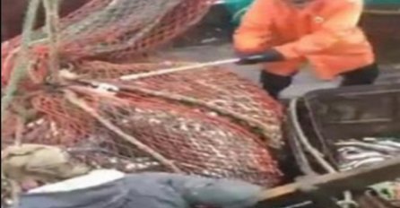 Ruski ribari iz vode izvukli mrežu punu ribe, no kada su je istresli uslijedilo je veliko iznenađenje (VIDEO)