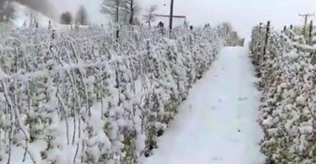 Maline se ne vide od snijega, prava katastrofa tek dolazi