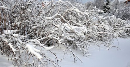 SAVETI POLJOPRIVREDNICIMA: Kako spasiti voćnjake nakon snijega koji je pao