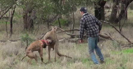 Nećete vjerovati šta je ovaj momak uradio kako bi spasio svog psa (VIDEO)