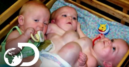 BILE SU NAJRJEĐE TROJKE NA SVIJETU:  Kada vidite kako sada izgledaju, ostat ćete bez riječi! (FOTO)