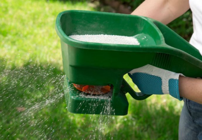 KORISTAN SAVJET: Evo zašto travu u dvorištu trebate posipati šećerom!