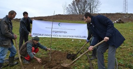 Revolucionarni projekt Islamske zajednice u BiH: VAKUFI IMAJU HILJADE HEKTARA ZEMLJIŠTA, ali pogledajte šta su ODLUČILI UČINITI!