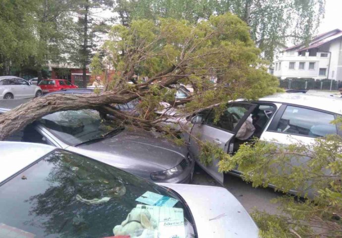 NESVAKIDAŠNJA SAOBRAĆAJNA NESREĆA: Kombijem srušio dva stabla i oštetio pet vozila