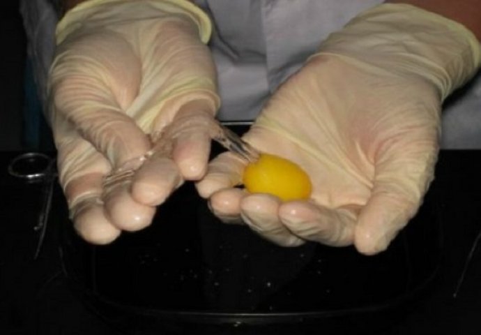 Da li su jaja koja kupujete zaista prava? Zbog ovog ćete prilikom sljedeće kupovine biti na oprezu (VIDEO)
