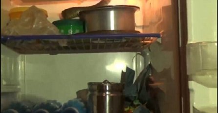 Čula je čudne zvukove koji su dopirali iz njenog frižidera: Kada ga je otvorila, od šoka se umalo srušila na zemlju! (VIDEO)