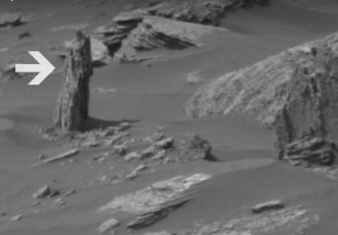 PROCURIO SNIMAK, NASA NE ŽELI DA OVO VIDITE: Na Marsu se ukazalo drvo i i vanzemaljska lobanja! (VIDEO)