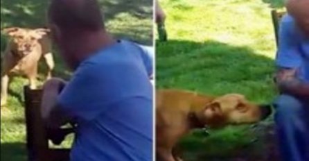 Teško bolesni vlasnik je mjesec dana proveo u bolnici, pogledajte reakciju psa kada ga je ponovo ugledao (VIDEO)