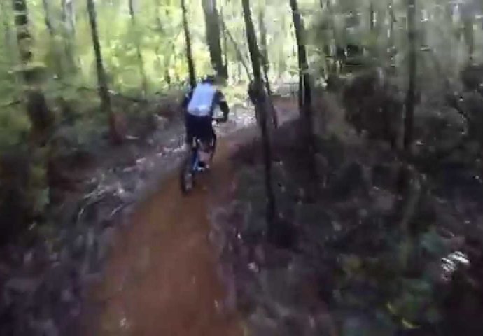 Vozio se biciklom kroz šumu, a onda morao spašavati živu glavu kada se iza njegovih leđa pojavilo ovo (VIDEO)