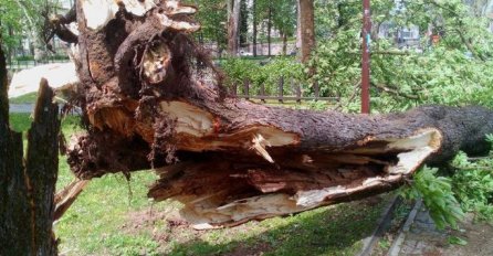 UŽAS U BIHAĆU: Olujni vjetar  prevrtao vozila, rušio stabla, semafore i kontejnere!