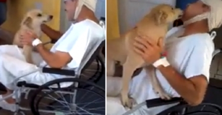 Zaglavio je u bolnici dugih 8 sedmica, ali dobro pazite šta je pas učinio (VIDEO)