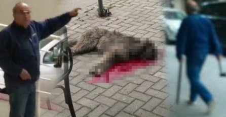 Manijak sjekirom odsjekao glavu psu nasred ulice (UZNEMIRUJUĆI VIDEO)