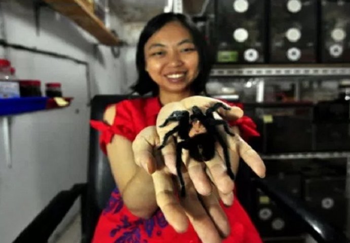 Neobični ljubimci: Žena živi sa 1.500 tarantula (VIDEO)