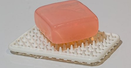 GENIJALAN TRIK: Komšije su se smijale kada je stavila SAPUN u dvorište, ali ovo je zapravo...