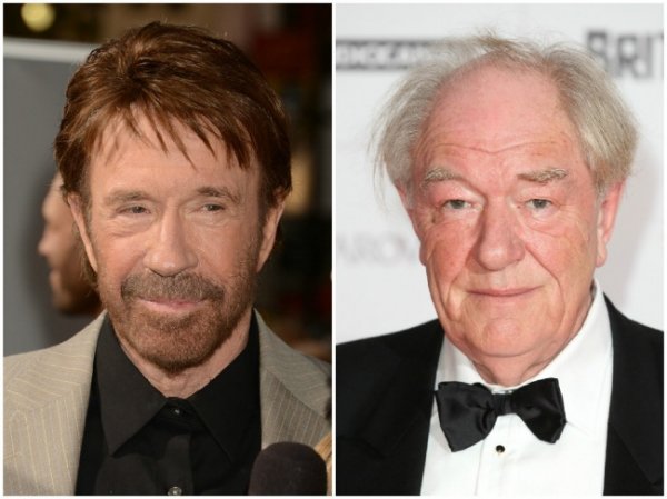 chuck-norris-and-michael-gambon-76-years-old
