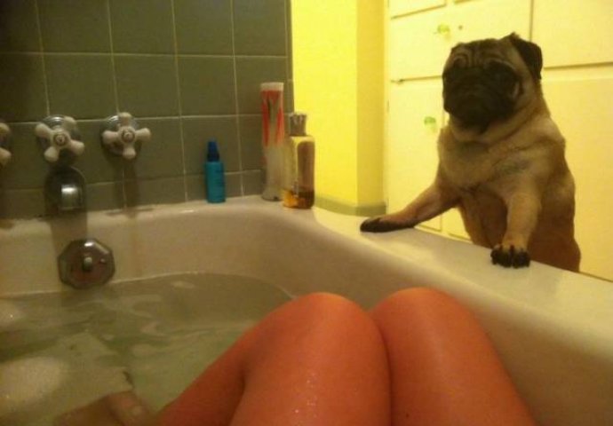  Ljudi rade stvarno svašta u privatnosti svog doma, pogotovo u toaletu: Tek kad vidite fotografiju broj 11 