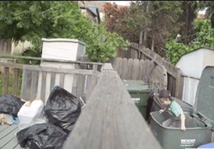 Dječak je ušao u kantu za smeće u namjeri da prepadne oca, bolje da nije (VIDEO)