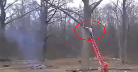 Popeo se na veliko drvo i motorkom krenuo da siječe granu, ono što je uslijedilo na 0:05 šokiralo je sve prisutne (VIDEO)