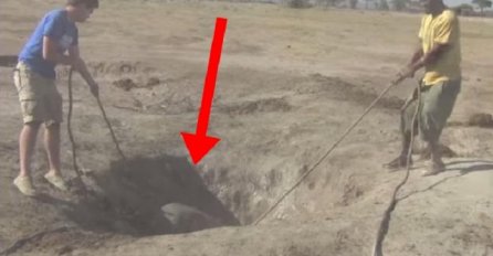 Izvukli su malog slonića iz bunara, a onda se dogodilo nešto zbog čega će vam krenuti suze na oči (VIDEO)