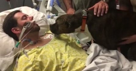 Posljednji pozdrav psa sa najboljim prijateljem na samrti će vam slomiti srce (VIDEO)