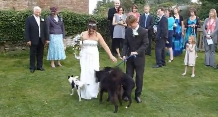 hilarious-wedding-photo-fails-20