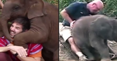 Kada beba slona pokušava da ti sjedne u krilo, a ti se valjaš od smijeha, bukvalno! (VIDEO)