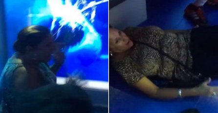 Zadirkivala je ajkulu u akvarijumu pa premrla od straha! (VIDEO)