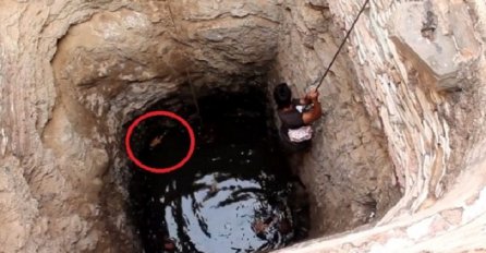 Čuli su neobične zvukove iz jednog bunara, pogledajte šta su pronašli tamo dolje (VIDEO)