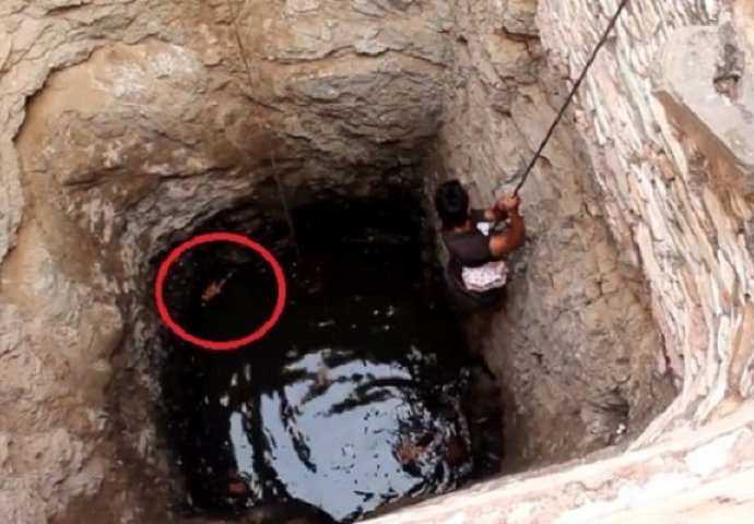 Čuli su neobične zvukove iz jednog bunara, pogledajte šta su pronašli tamo dolje (VIDEO)