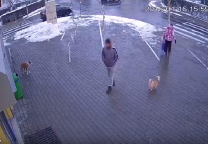 Pitbull mu napao psa a pogledajte šta je on uradio da ga spasi (VIDEO)