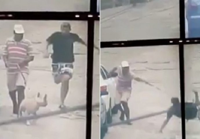 Ovaj lopov baš nije imao sreće: Naletio je na bijesnog psa koji ga je oborio, a onda su ga policajci sustigli (VIDEO)